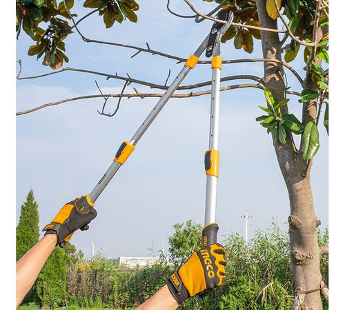 Tijeron Corta Ramas Telescopico Mango Aluminio 66-87cmingco