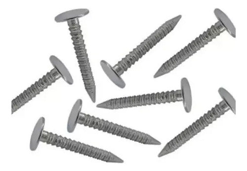 Clavo Para Teja Asfaltica 2.7 X 3 Kg