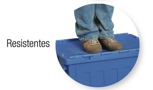 Caja Organizador Tapa Bisagrada Alta Resistencia 62 Lt 4 Und