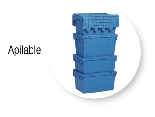 Caja Organizador Tapa Bisagrada Alta Resistencia 62 Lt 4 Und