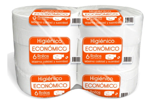 Papel Higiénico Economico 300 Mt X 6 Rollos Tecnoroll