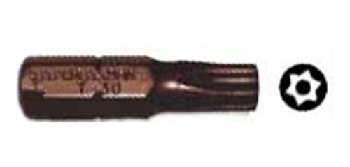 Punta  Magnet. Torx Tamper Proof T-20 1/4 X25mm (10 Uni.)