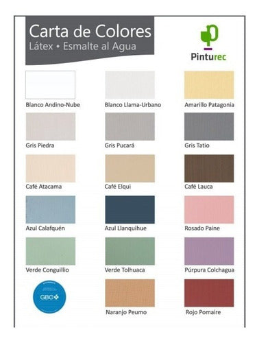 Latex Reciclado Pinturec Extracub Blanco Llama 1g