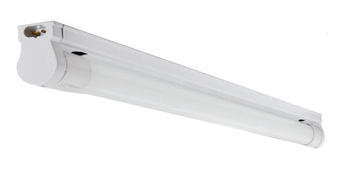 Tubo Luz Led Con Canoa T5 14w 100-240v Ferrawyy