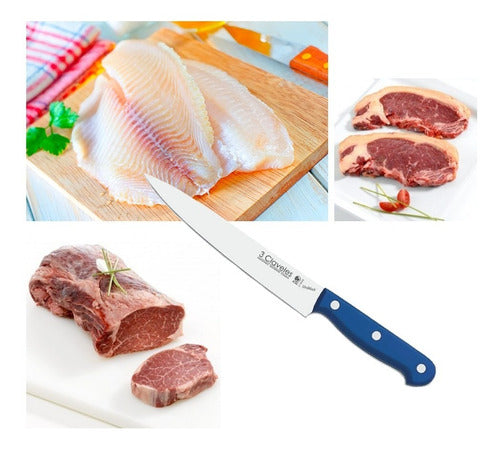 Cuchillo Tres Claveles Inox Mango Abs 20cms Filetear